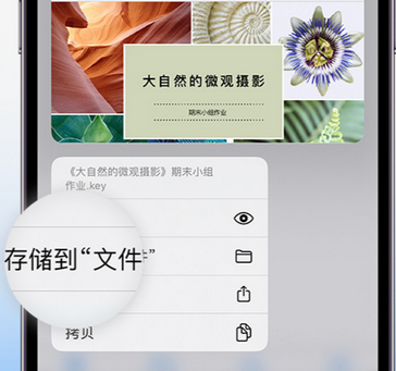 相山apple维修中心分享iPhone文件应用中存储和找到下载文件