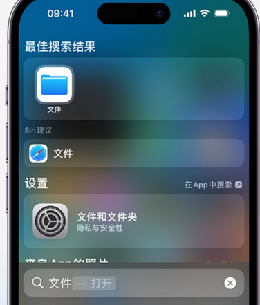 相山apple维修中心分享iPhone文件应用中存储和找到下载文件