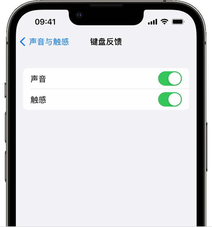 相山苹果14维修店分享如何在 iPhone 14 机型中使用触感键盘 