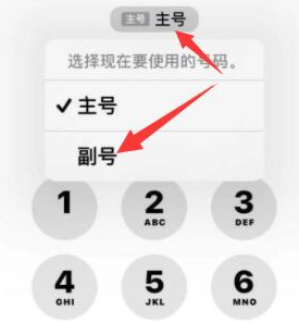 相山苹果14维修店分享iPhone 14 Pro Max使用副卡打电话的方法 