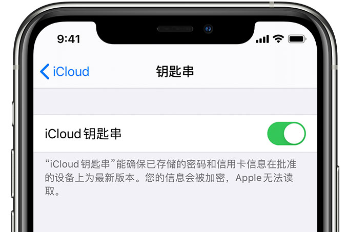 相山苹果手机维修分享在 iPhone 上开启 iCloud 钥匙串之后会储存哪些信息 