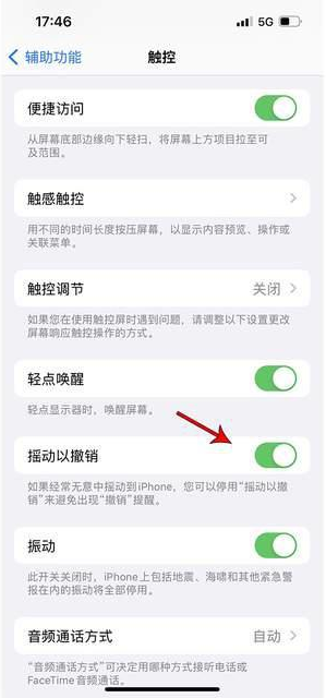 相山苹果手机维修分享iPhone手机如何设置摇一摇删除文字 