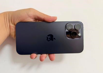相山苹果维修点分享iPhone 14 Pro Max黑屏少见故障盘点 